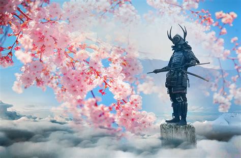 cherry blossom samurai spins  Enjoy the view of cherry blossoms in a traditional Japanese village with Mt